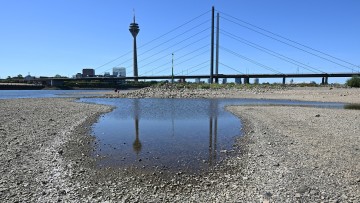 Niedrigwasser: Frachtschiff mit Mercedes Sprintern steckt fest